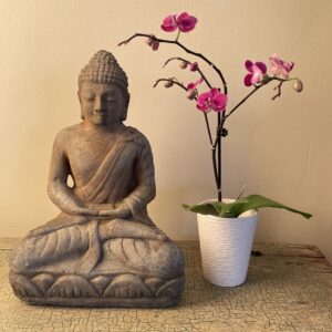 a day of silent meditation